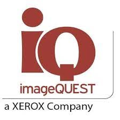 IQ Logo